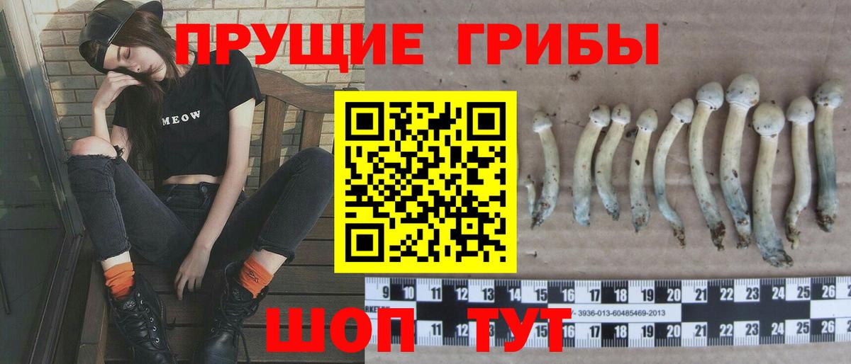 Анжеро-Судженск  Псилоцибиновые грибы MAGIC MUSHROOMS  Псилоцибиновые грибы мухоморы  Вход с VPN 